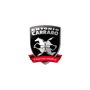 Logo Carraro